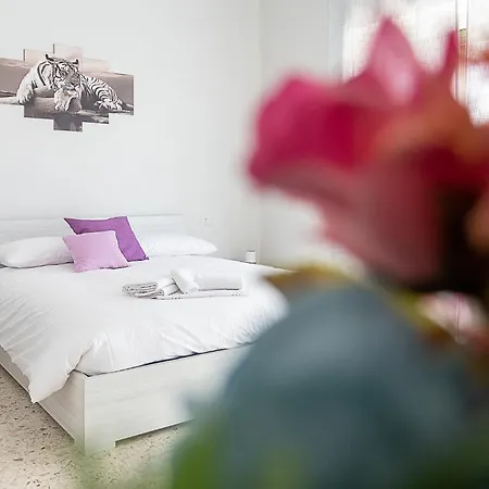 Apartamento Leo'S House Smart Tv & Wi-Fi Campobasso Exterior foto